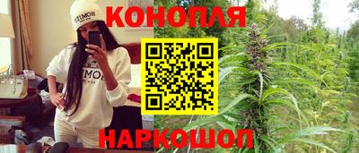 эйфоретик Гай