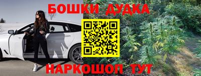 прущие крисы Гатчина