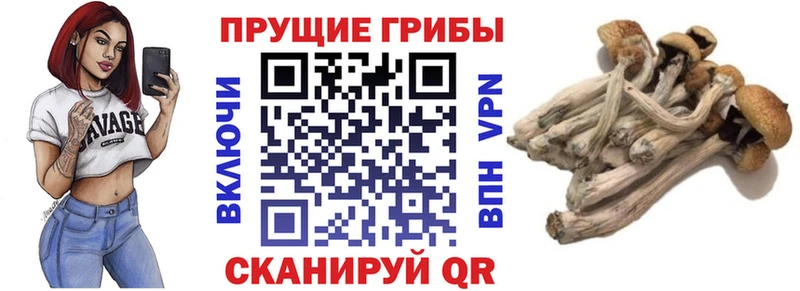 Псилоцибиновые грибы Magic Shrooms ссылка на мегу как войти Мирный