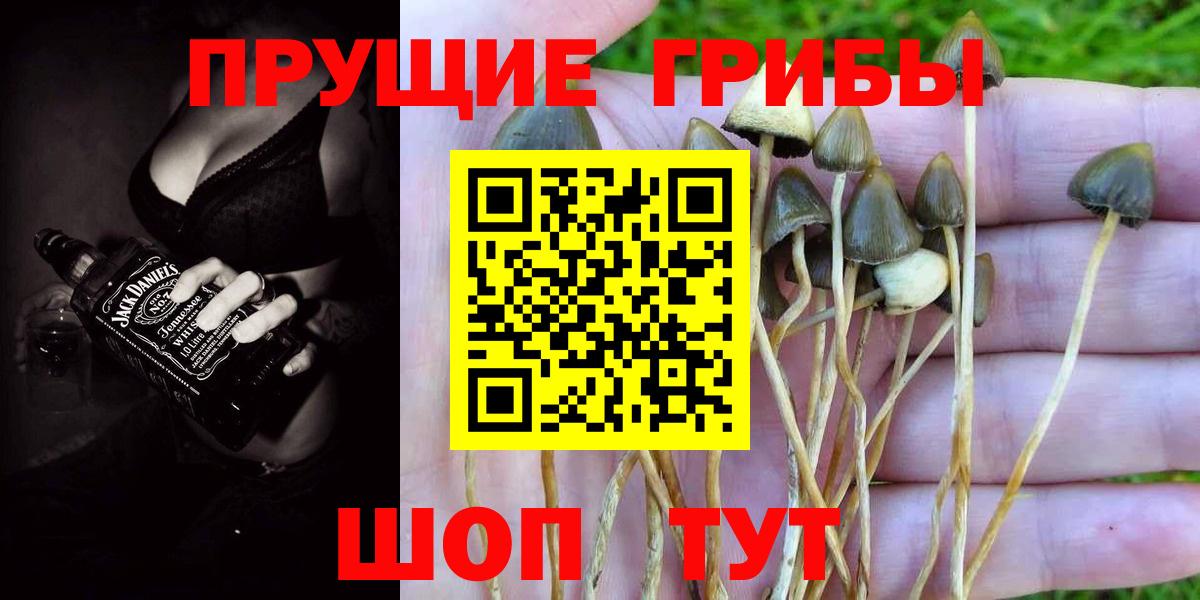 Галлюциногенные грибы ЛСД  Мирный 