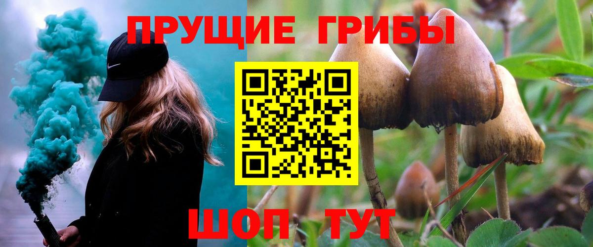 Псилоцибиновые грибы Cubensis Мирный