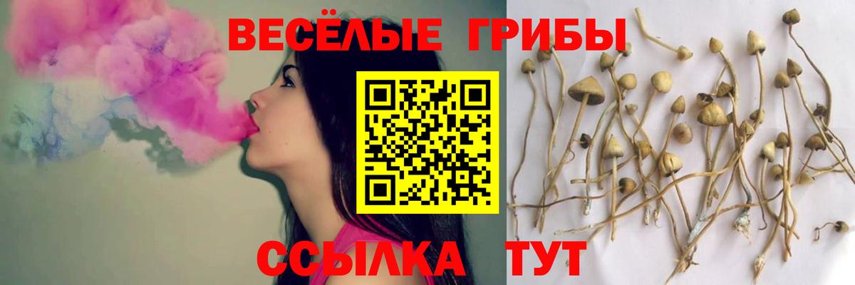 Псилоцибиновые грибы мицелий  Вход с VPN  Мирный 